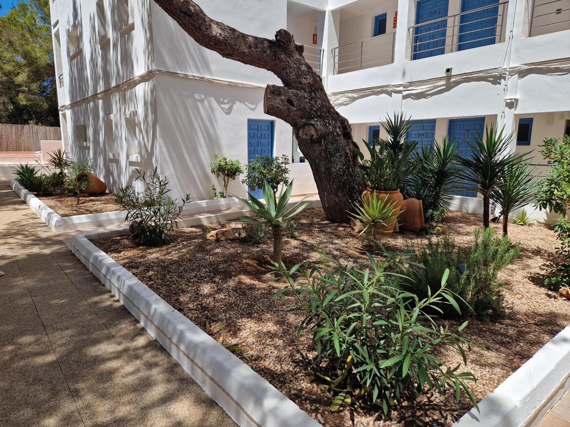 אס פוחולס Apartamentos Costamar II מראה חיצוני תמונה
